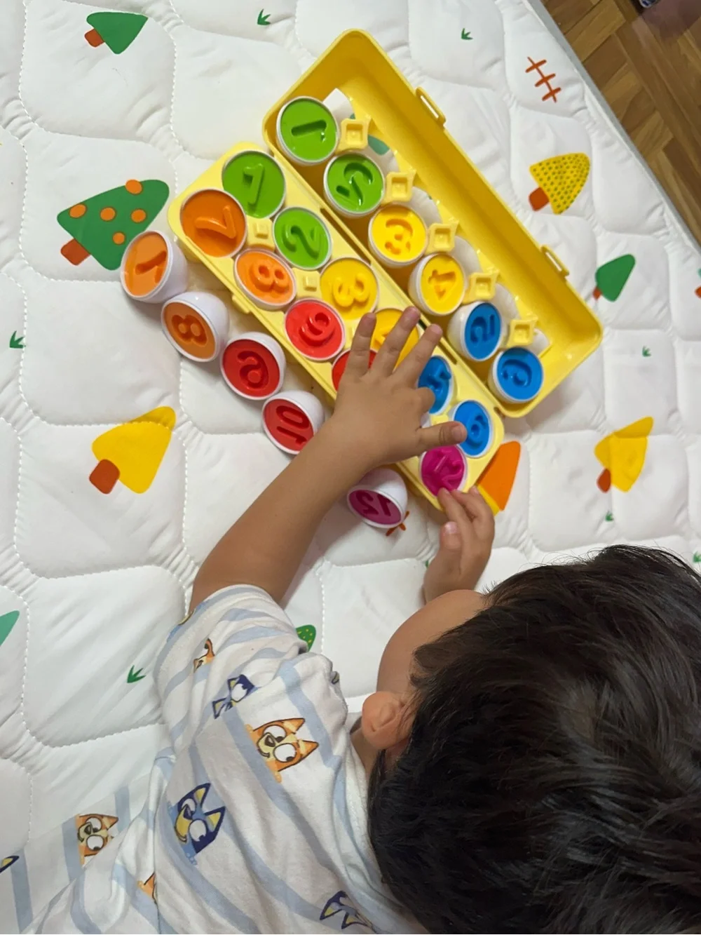 Yellow Carton Toddler Number Matching Egg Toy - Kids Educational Counting Set